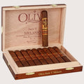 Oliva Melanio V - No: 4