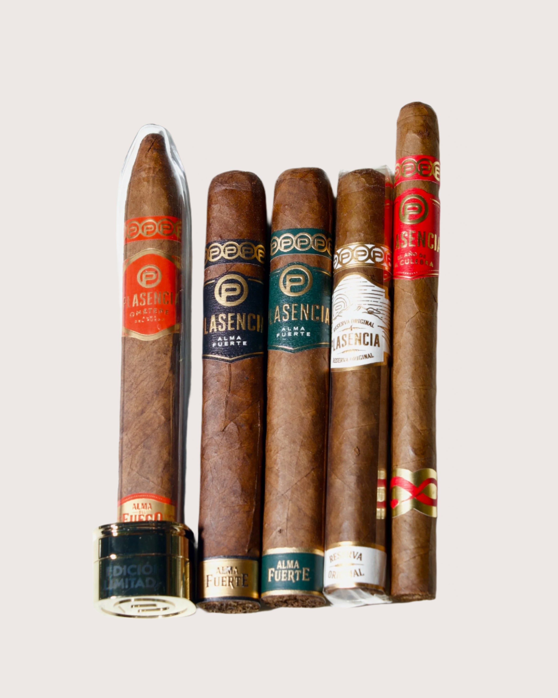 Plasencia Pack of 5 Special